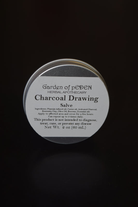 Charcoal Drawing Salve