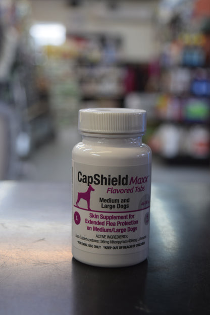 Capshield Maxx Flea and Tick Prevention Tablets (Dog and Cat Options)