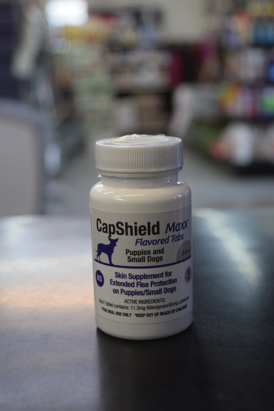 Capshield Maxx Flea and Tick Prevention Tablets (Dog and Cat Options)