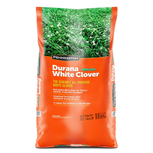 Pennington Durana White Clover