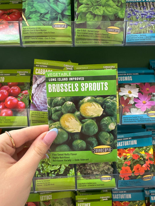 Long Island Improved Brussels Sprouts