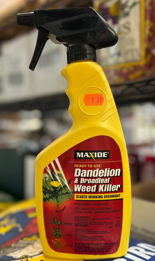 Maxide Dandelion & Broadleaf Weed Killer