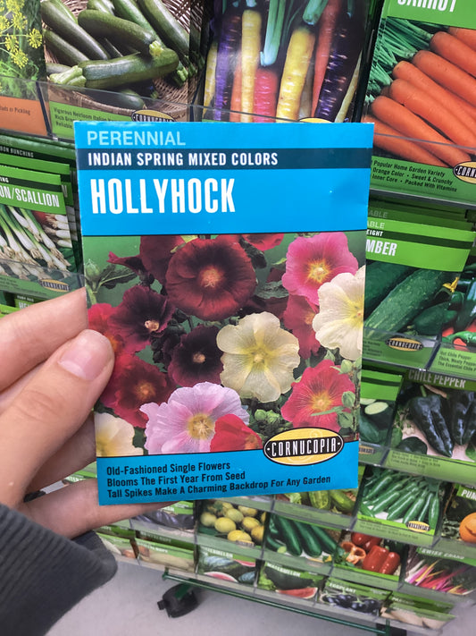 Hollyhock