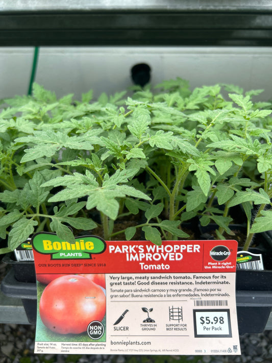 Park’s Whopper Improved Tomato Bonnie 6 pack