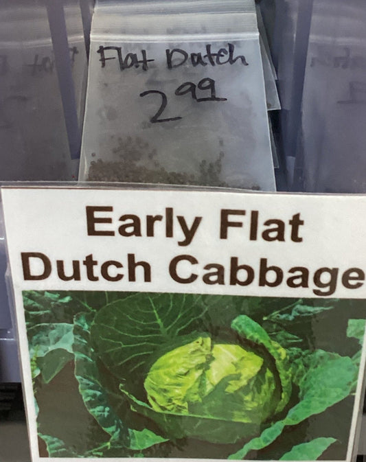 Early Flat Dutch Cabbage Seeds