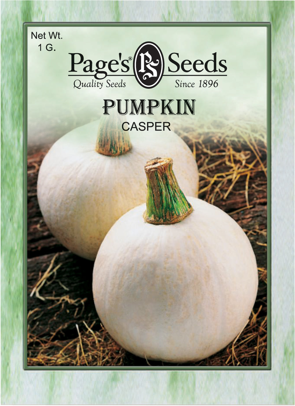 Pumpkin (white)