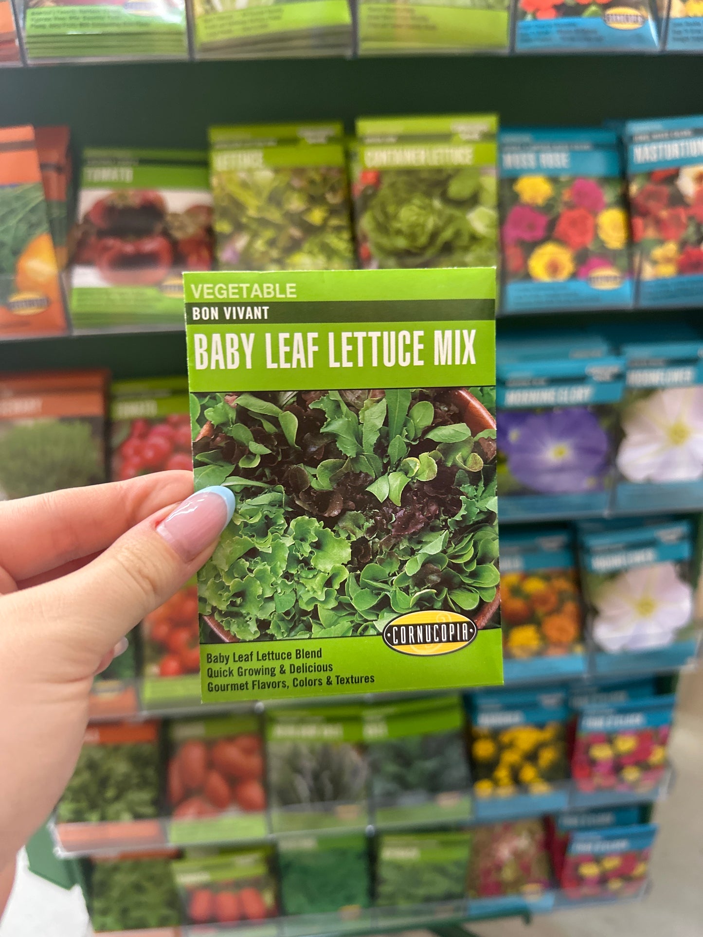 Bon Vivant Baby Leaf Lettuce Mix