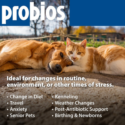 Probios Medium-Large Dog Soft Chews