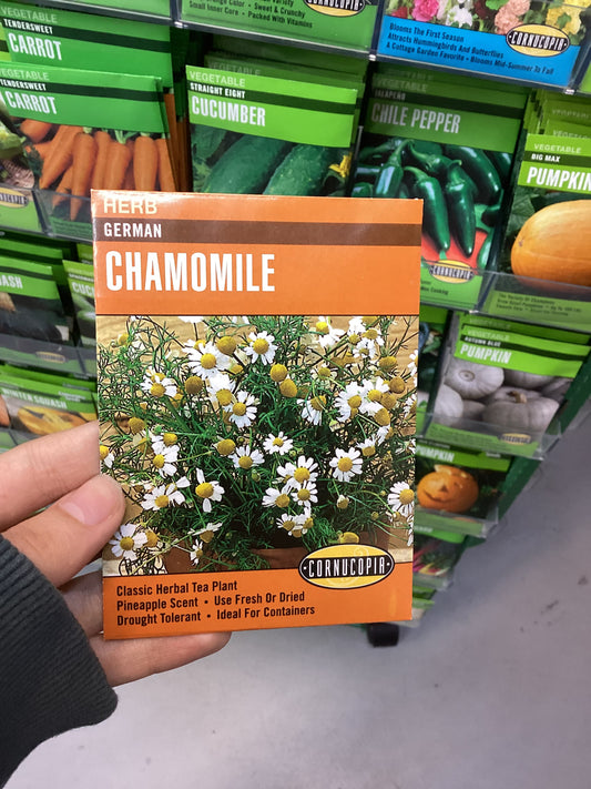 German Chamomile