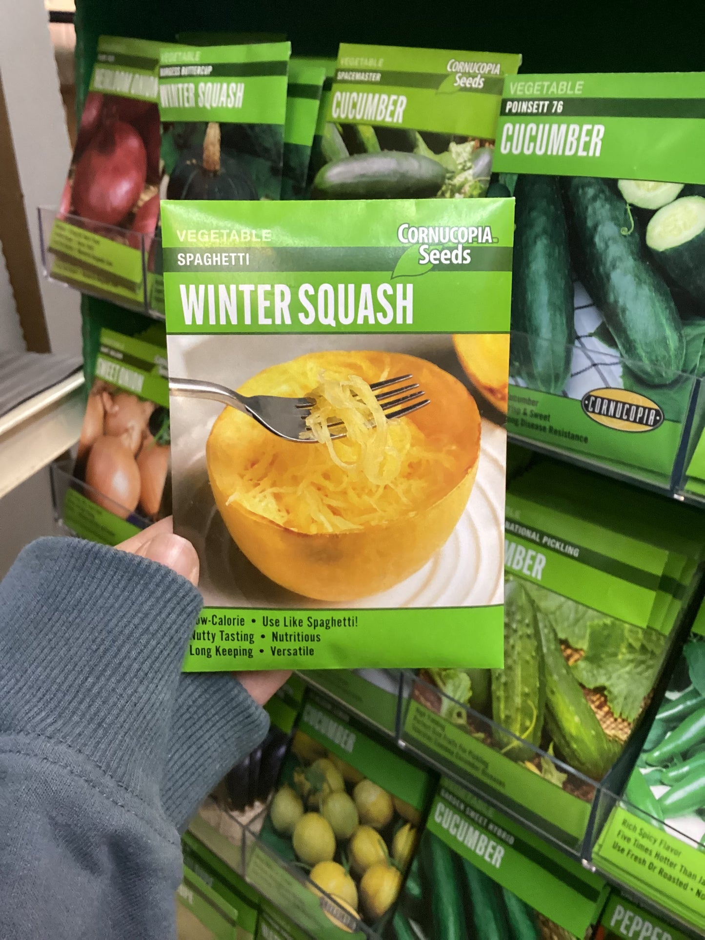 Espaguetis de calabaza de invierno
