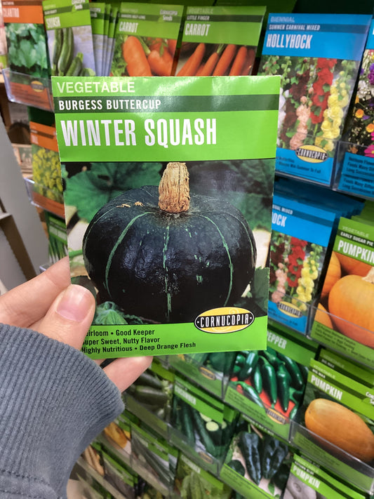 Winter Squash