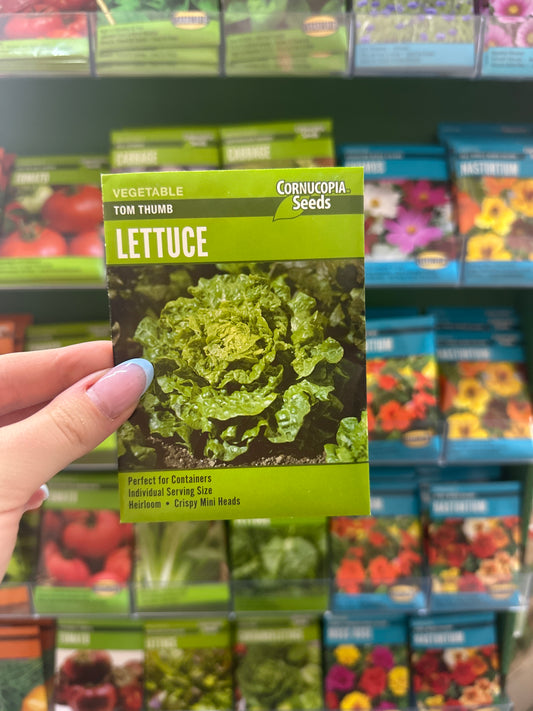 Tom Thumb Lettuce