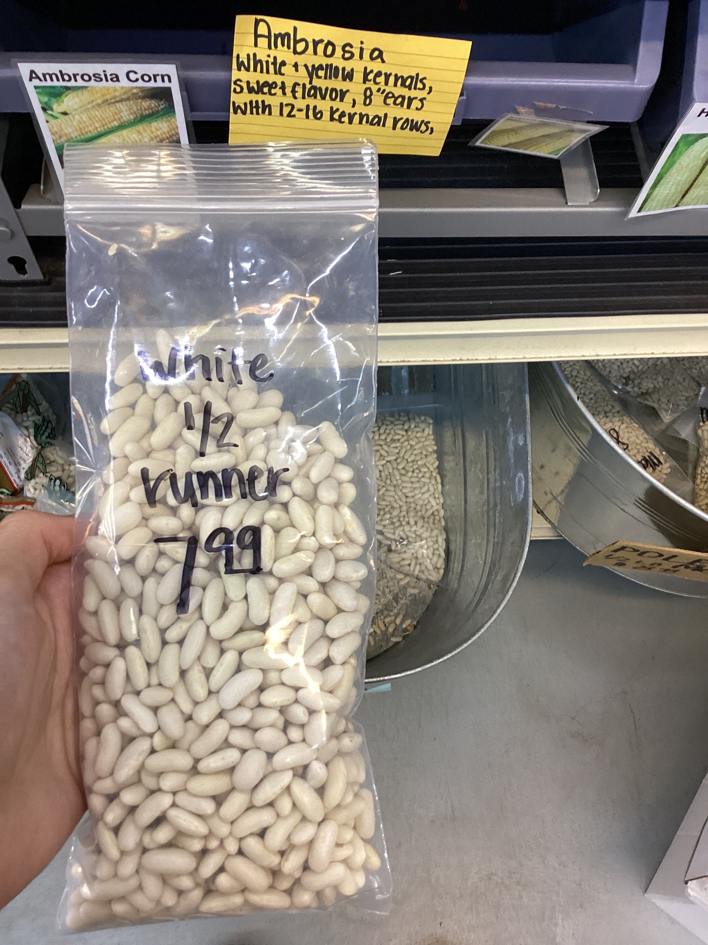 White 1/2 Runner Beans