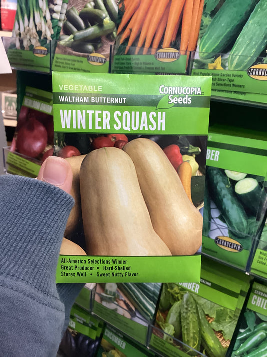 Waltham Butternut Winter Squash