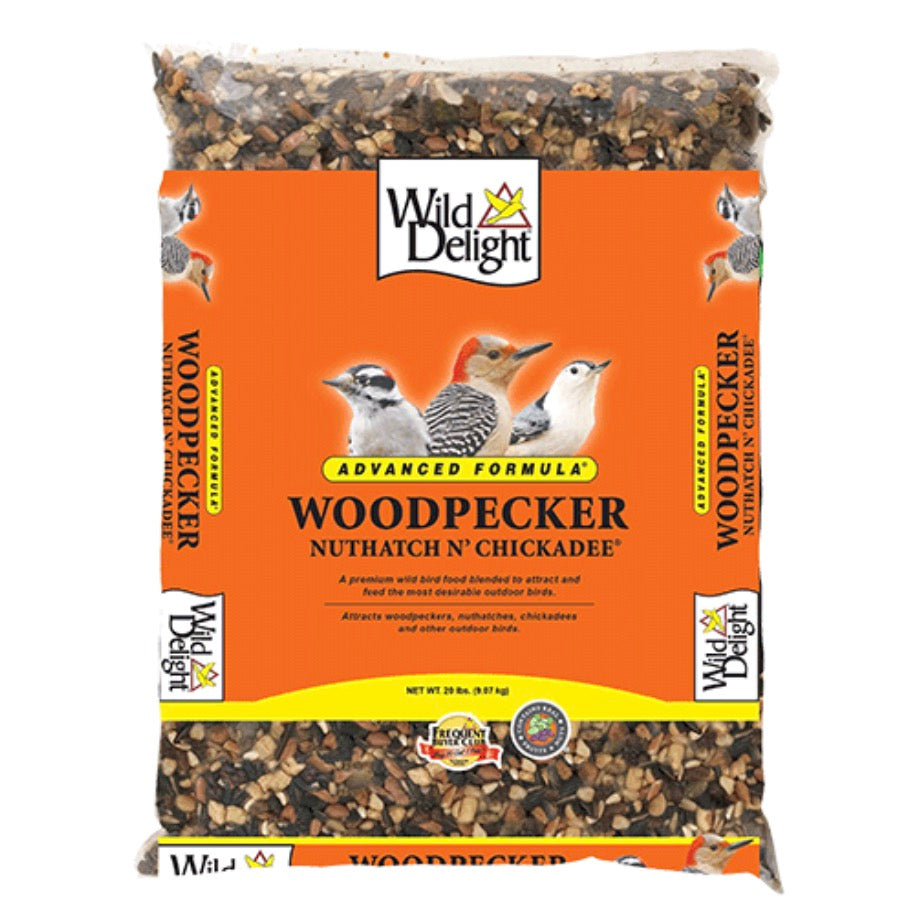 Woodpecker, Nuthatch N’ Chickadee