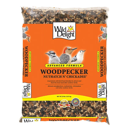 Woodpecker, Nuthatch N’ Chickadee