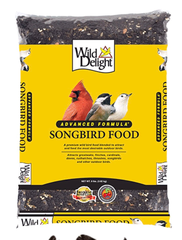 Songbird Food