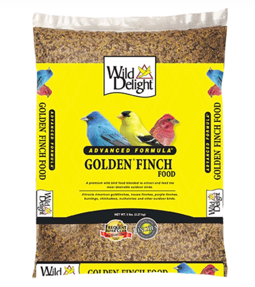 Golden Finch Food