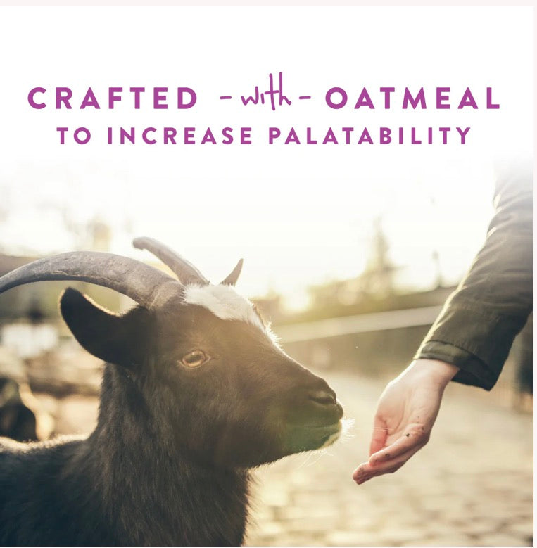 Goat Treats Licorice Flavor