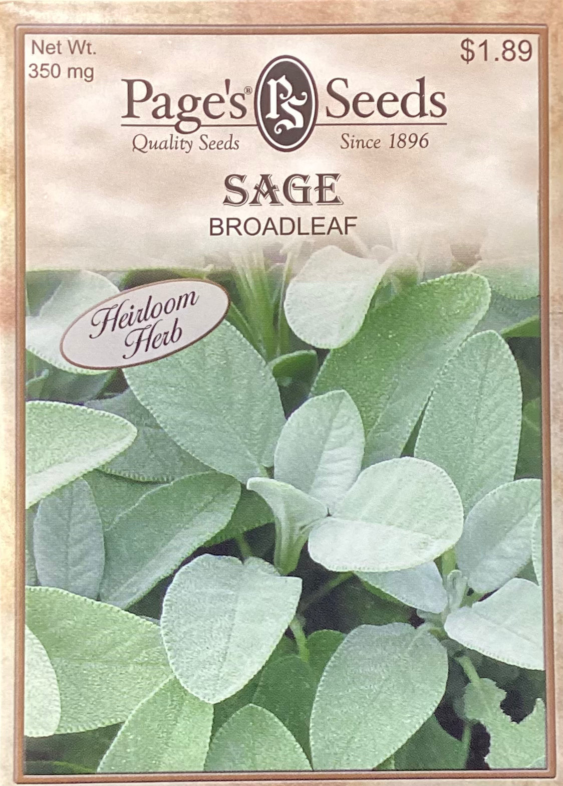 Sage
