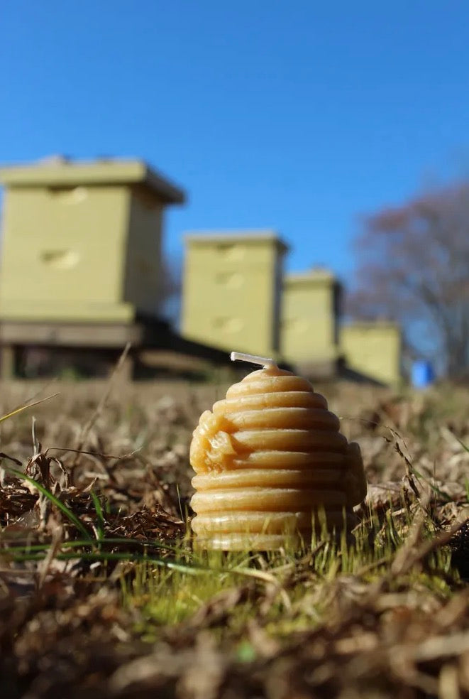 Skep Beeswax Candle
