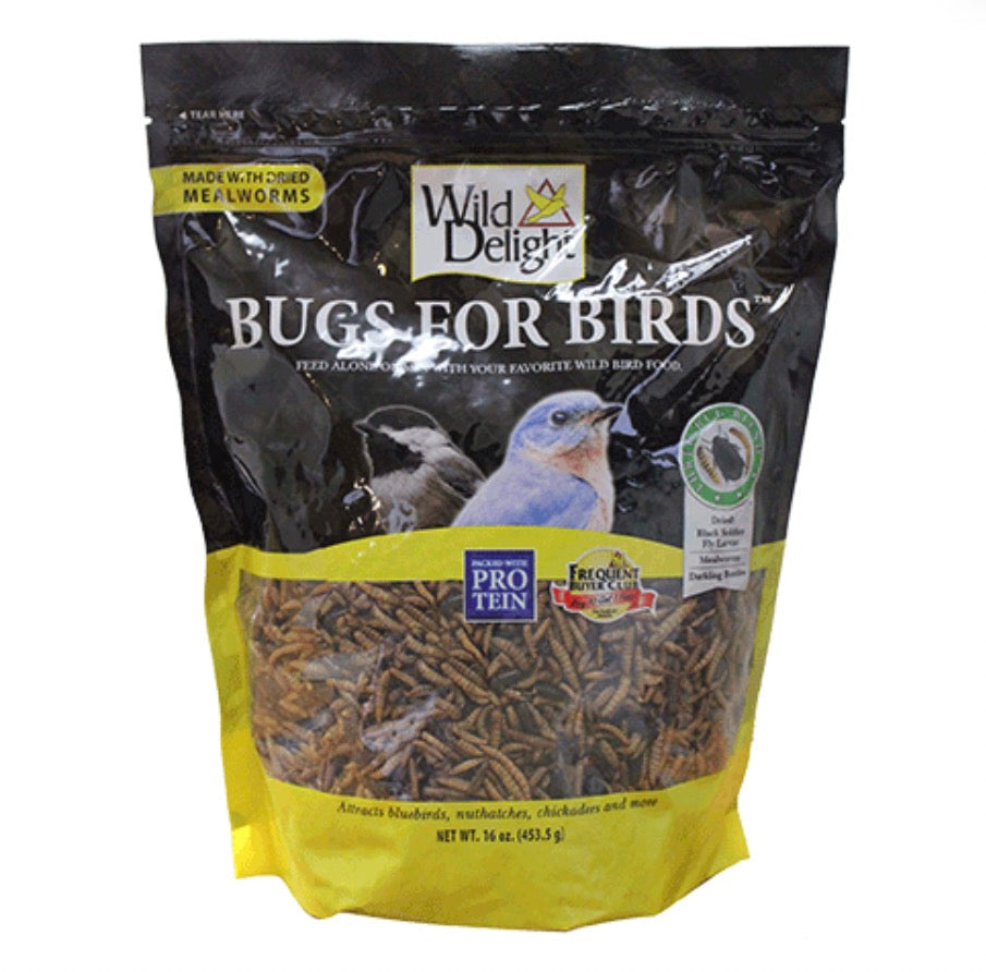 Bugs for Birds