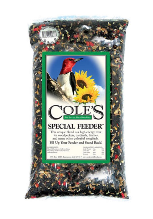 Cole’s Special Feeder with Pecans