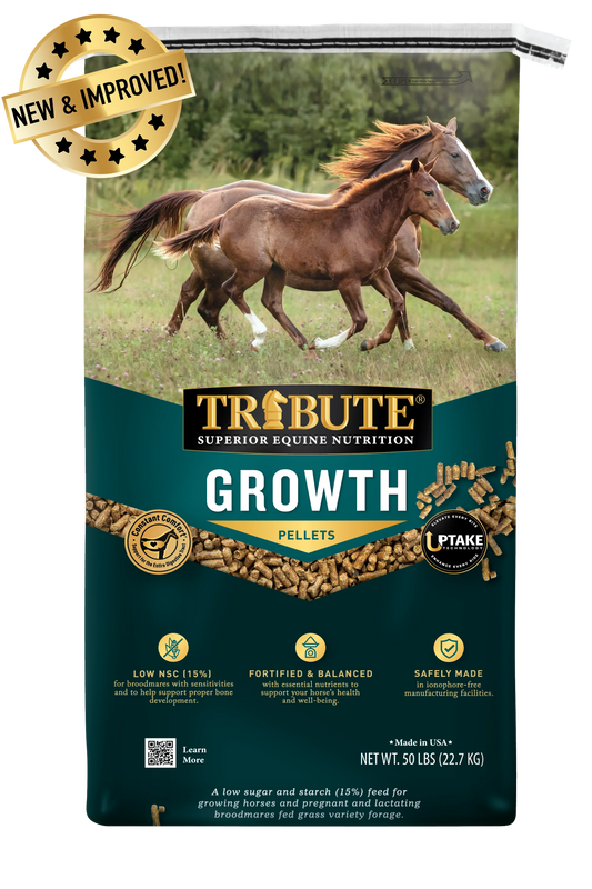 Tribute Growth
