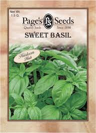 Sweet basil