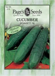 Cucumber