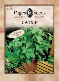 Catnip