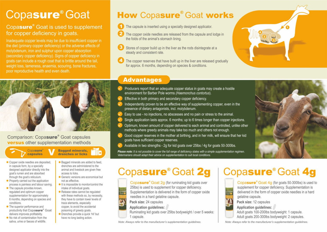 Animax Copasure Goat