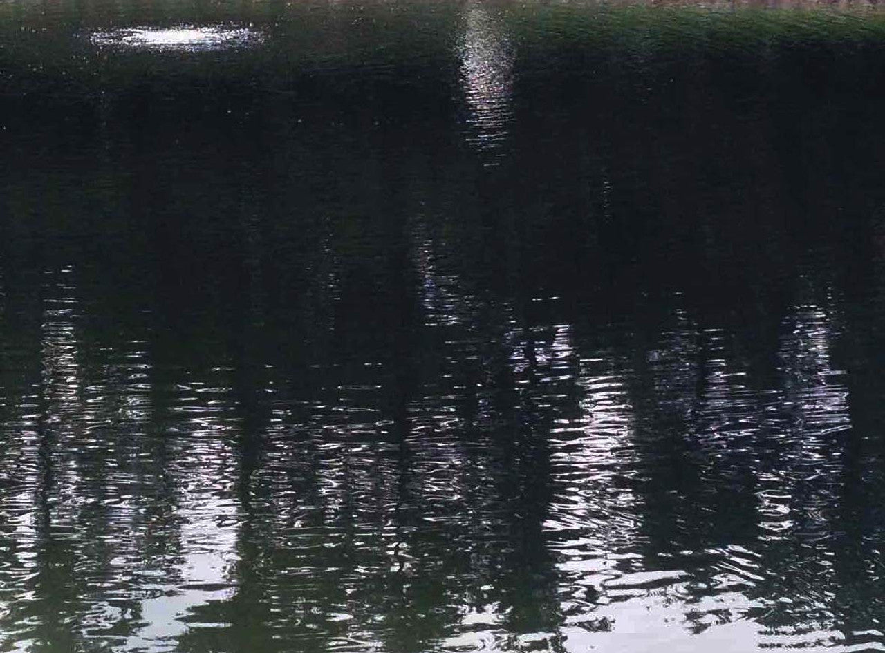 AquaVet Black Pond Dye