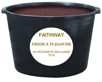 Pride-N-Pleasure 24% Molasses Block