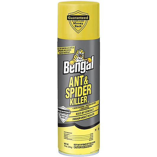 Bengal Ant and Spider Killer