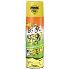Bengal Carpenter Bee & Ant Killer