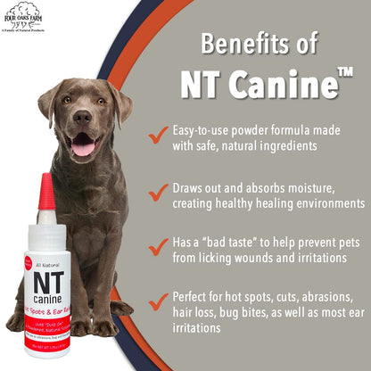 NT Canine