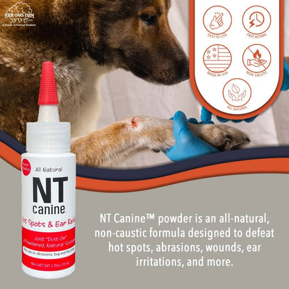 NT Canine