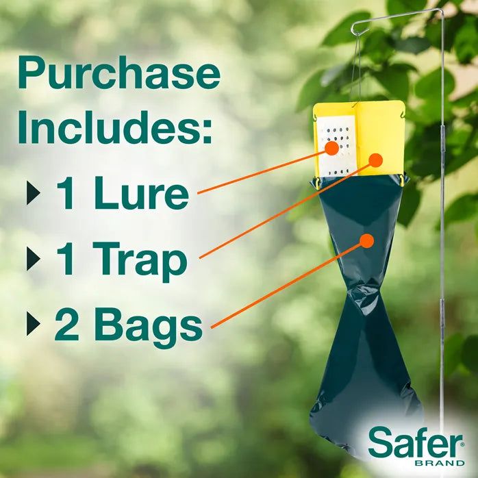 Japanese Beetle Trap