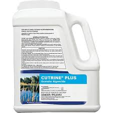 Cutrine Plus 12LB