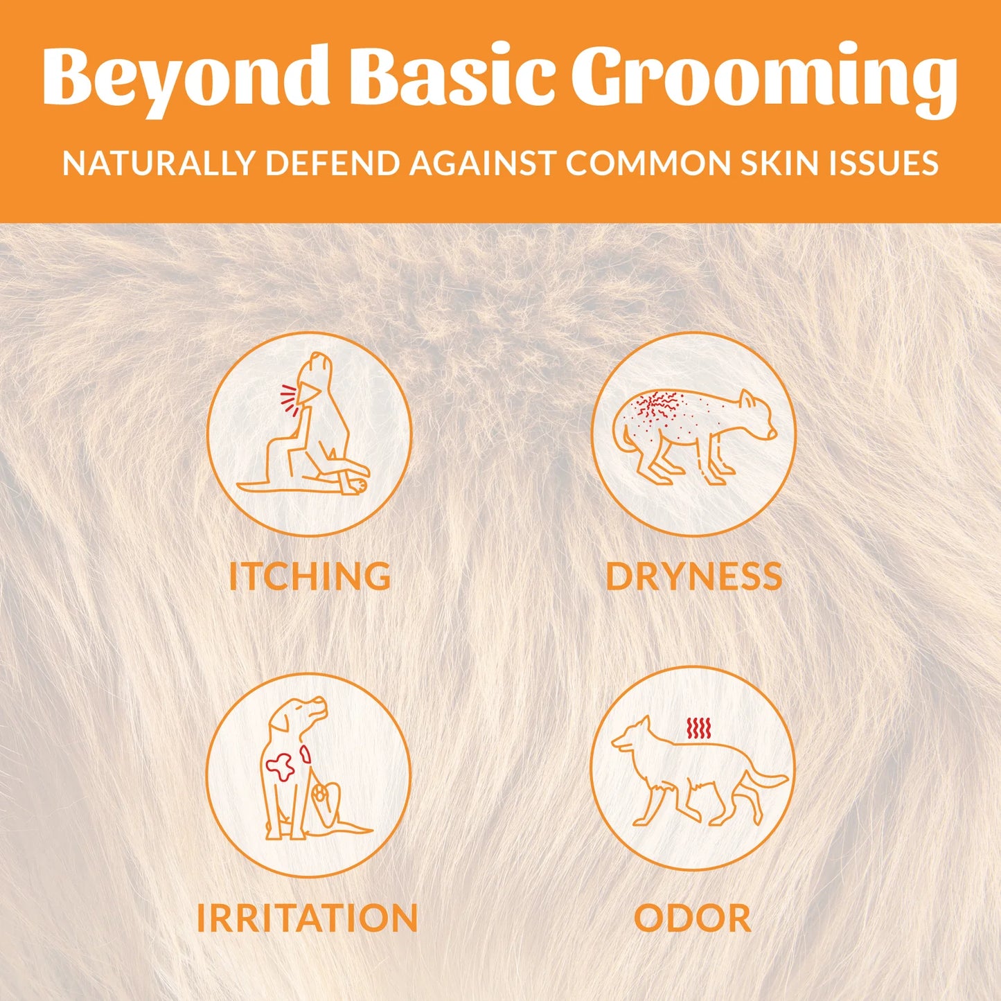 Scout’s Honor Probiotic Shampoo + Conditioner for Dogs & Cats