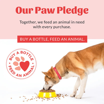 Scout’s Honor Probiotic Shampoo + Conditioner for Dogs & Cats