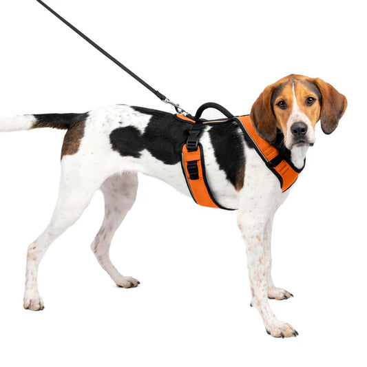Easy Sport Harness