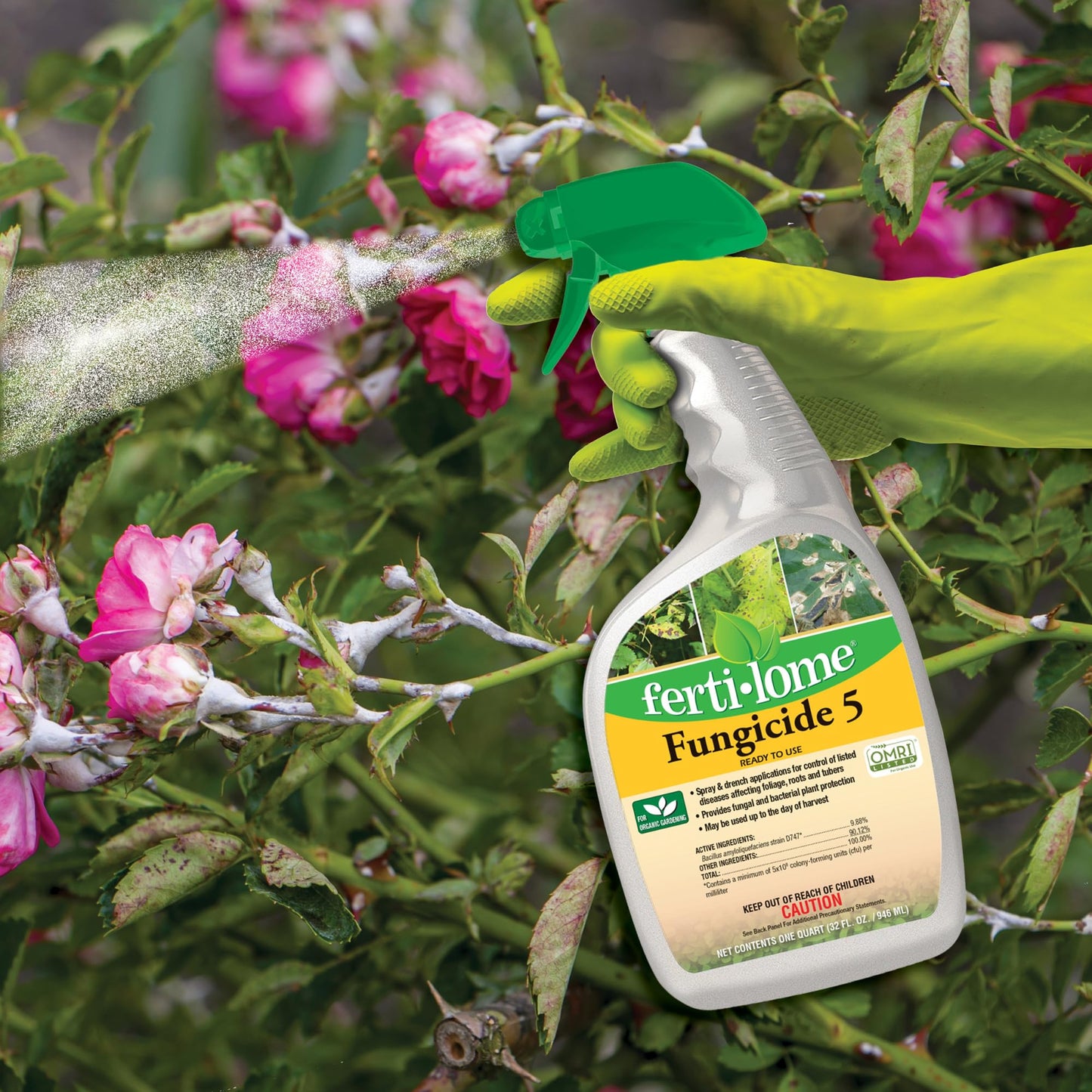 Fungicide 5 RTU