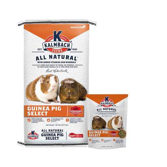 22% Guinea Pig Select