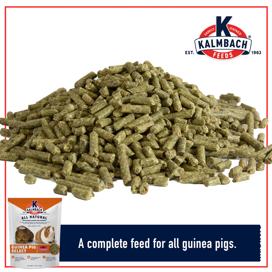 22% Guinea Pig Select