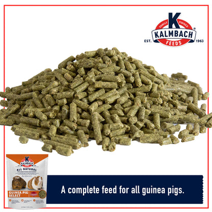 22% Guinea Pig Select