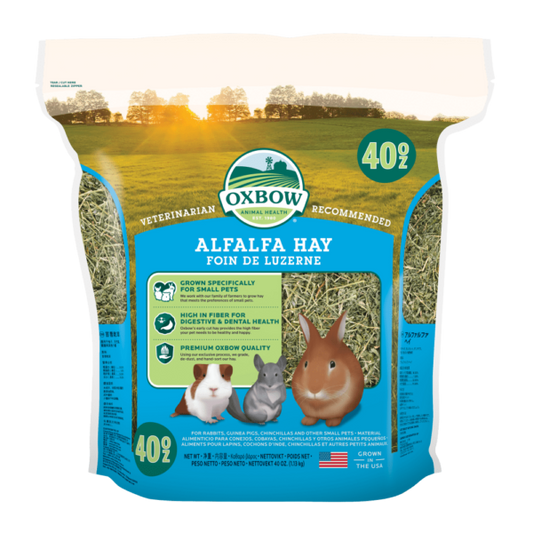 Oxbow Alfalfa Hay 40oz