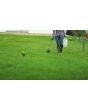 2,4-D Amine Salt Broadleaf Weed Killer