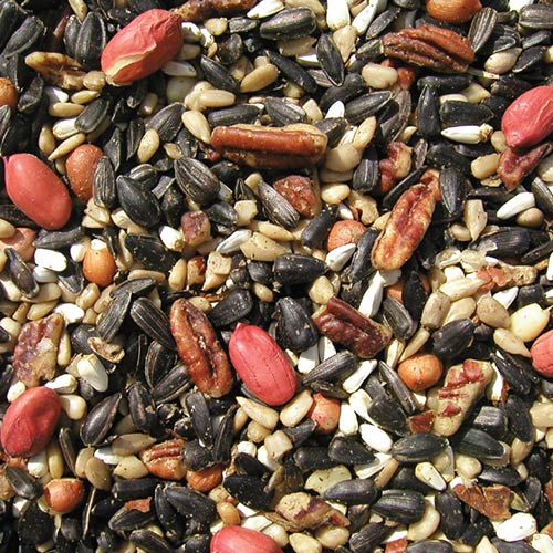 Cole’s Special Feeder with Pecans